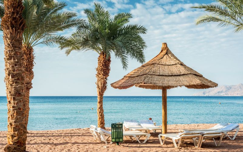 Vilata - Đơn vị cung cấp rơm nhân tạo lợp mái resort uy tín và chất lượng