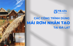 Dự án rơm nhân tạo tại Đà Lạt