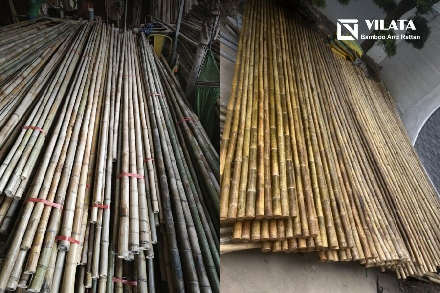 Cây tầm vông được ứng dụng đa dạng