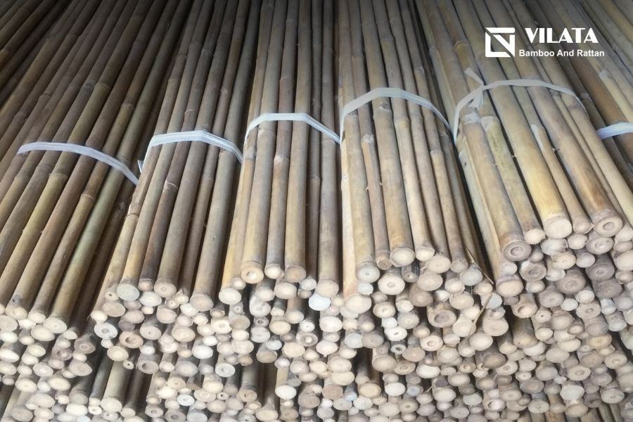 Địa chỉ cung cấp tầm vông uy tín