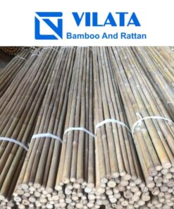 cây tầm vông khô