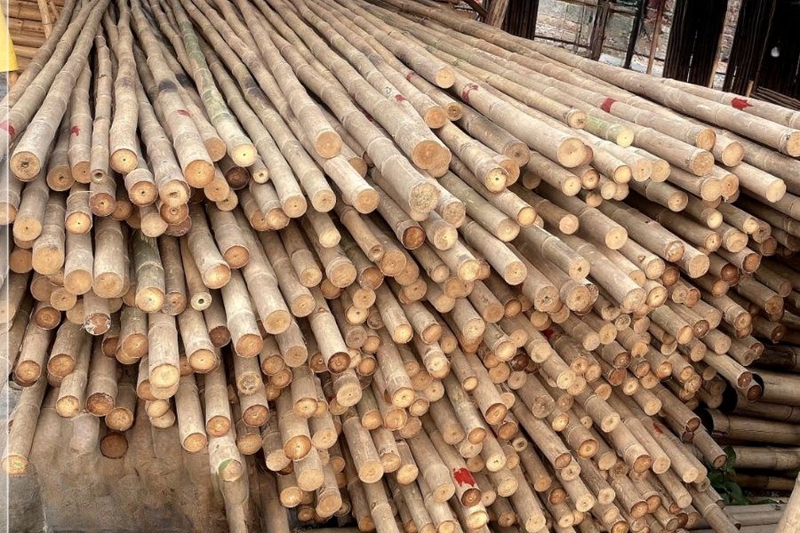 Giá bán cây tầm vông khô