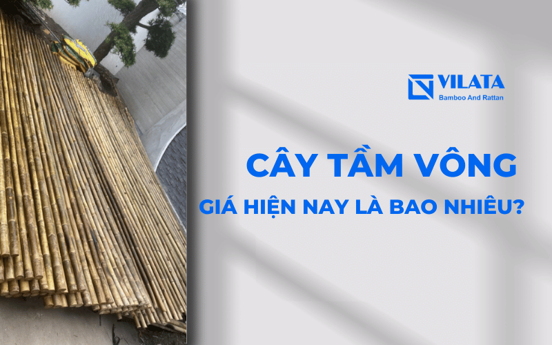 Giá cây tầm vông bao nhiêu tiền