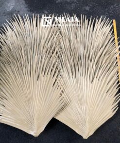 Lá cọ nhân tạo