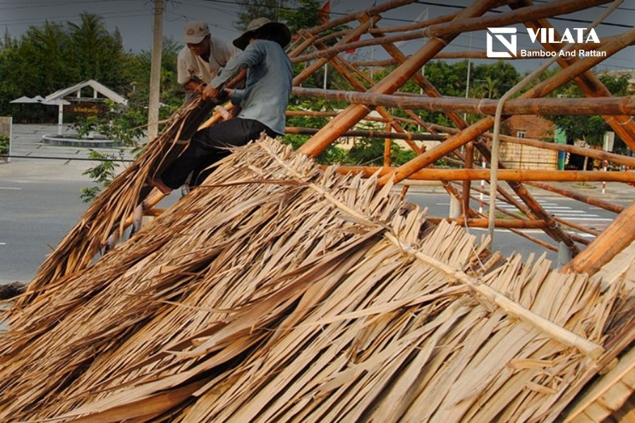 Lá dừa nước lợp mái là gì Lá dừa nước lợp mái là gì